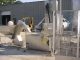 U.S. BOTTLERS PMC-16 ROTARY SS SCREW CAPPER, 425 PM