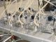 PAXALL/CIRCLE V12H8S FORM/FILL/SEAL WITH POSITIVE DISPLACEMENT GEAR PUMPS