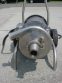 TRI-CLOVER 2" X 1-1/2" SS SANITARY CENTRIFUGAL PUMP, PORTABLE