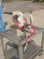 ALL-FLO BKD-5 AIR OPERATED DOUBLE DIAPHRAGM PUMP