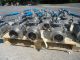 BRADFORD 3" DIAMETER STAINLESS STEEL BALL VALVES (19)