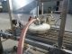 RAQUE SAUCE DEPOSITING SYSTEM FOR FROZEN PIZZA