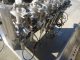 KAPS-ALL/FILLS-ALL 8 PISTON AUTOMATIC FILLER, WITH CONVEYOR