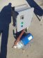 Goulds 1-1/4 in. X 1-1/2 in. Water Pump, 5 HP
