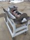 FMC 50 Pulper/Finisher, 5HP motor