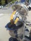 10 Gallon Groen Stainless Steel Jacketed Vacuum Kettle/Reactor, 100 PSI