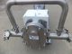 Fristam FKL-150 Sanitary Positive Displacement Pump, 316L, SS