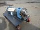 Waukesha Size 10 Stainless Steel Positive Displacement Pump, Portable---