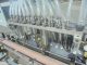 Kaps-All 12 Piston Inline Automatic Filling Machine