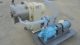 Cornell D16 Stainless Steel Versator, Variable Speed drive