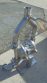 Murzan PI.50.SL Air Operated SS Double Diaphragm Pump, 3 Inch