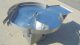 48 In. Diameter Unscrambling/Accumulating Table With Unscrambling Shelf
