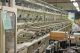 Wet Wipe Production Line, 4,250 Wipes Per Minute