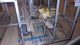 Eagle Packaging Machinery Tray/Box Former