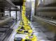 Osgood 6 lane "Ultraclean" yogurt cup filler, 360 cups per minute