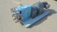 Waukesha 60U1 Stainless Steel Positive Displacement Pump, 5 HP
