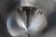 Per-Fil Single Auger Powder Filler