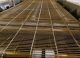 Stein 16 In. Wide x 13 Ft. Long Gas Fired Fryer with Hold Down Belt