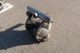 ARO Air Operated Double Diaphragm Pump Model 666101-444-C