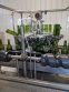 GAI 24 Head Wine Bottling Filling Line, 300 Cases Per Hour