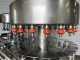 Federal 21 Valve Rotary Gallon Bottle Filler with 5 Head Screw Capper