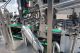 Packline PXG-4 Four Lane Stainless Cup Packaging Machine