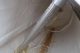Willmes/Kaida USA Inc. Stainless Fruit Press Machine