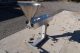 Hinds Bock SP-64 Single Piston Filler, Air Driven