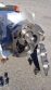 Fristam FKL50 SS Positive Displacement Pump, 3 In. Ports