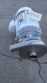 Tri-Clover 1.5 In. x 2 In. SS Centrifugal Pump, 5 HP