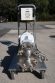 Waukesha 030 Stainless Positive Displacement Pump, Variable Speed