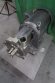 Fristam 3 x 2 SS Sanitary Centrifugal Pump, 15HP