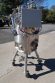 Precision Stainless 25 Gallon 316SS Jacketed Vacuum Pressure Vessel